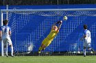 MSoc vs NEC  Wheaton College Men’s Soccer vs New England College. - Photo By: KEITH NORDSTROM : Wheaton, Soccer